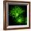 Oligodendrocyte Nerve Cells-Riccardo Cassiani-ingoni-Framed Premium Photographic Print