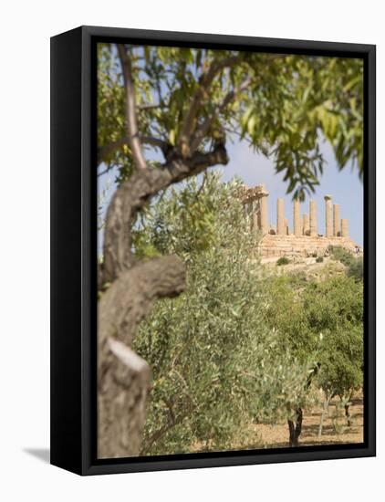 Olive and Almond Trees and the Temple of Juno, Valley of the Temples, Agrigento, Sicily, Italy-Olivieri Oliviero-Framed Premier Image Canvas