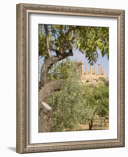 Olive and Almond Trees and the Temple of Juno, Valley of the Temples, Agrigento, Sicily, Italy-Olivieri Oliviero-Framed Photographic Print