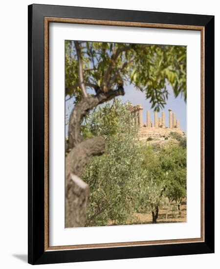 Olive and Almond Trees and the Temple of Juno, Valley of the Temples, Agrigento, Sicily, Italy-Olivieri Oliviero-Framed Photographic Print