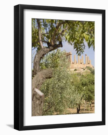 Olive and Almond Trees and the Temple of Juno, Valley of the Temples, Agrigento, Sicily, Italy-Olivieri Oliviero-Framed Photographic Print