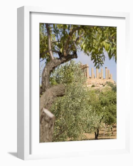 Olive and Almond Trees and the Temple of Juno, Valley of the Temples, Agrigento, Sicily, Italy-Olivieri Oliviero-Framed Photographic Print