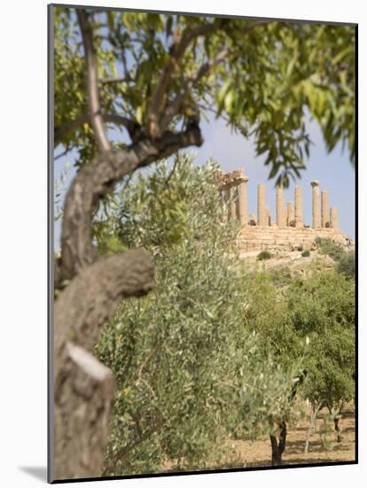 Olive and Almond Trees and the Temple of Juno, Valley of the Temples, Agrigento, Sicily, Italy-Olivieri Oliviero-Mounted Photographic Print
