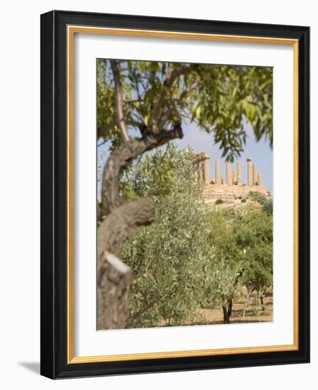 Olive and Almond Trees and the Temple of Juno, Valley of the Temples, Agrigento, Sicily, Italy-Olivieri Oliviero-Framed Photographic Print