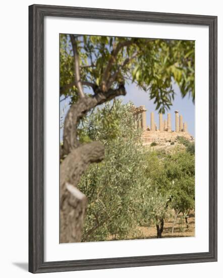 Olive and Almond Trees and the Temple of Juno, Valley of the Temples, Agrigento, Sicily, Italy-Olivieri Oliviero-Framed Photographic Print