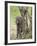 Olive Baboon Mother and Infant, Serengeti National Park, Tanzania-James Hager-Framed Photographic Print