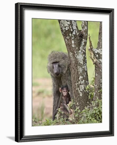 Olive Baboon Mother and Infant, Serengeti National Park, Tanzania-James Hager-Framed Photographic Print