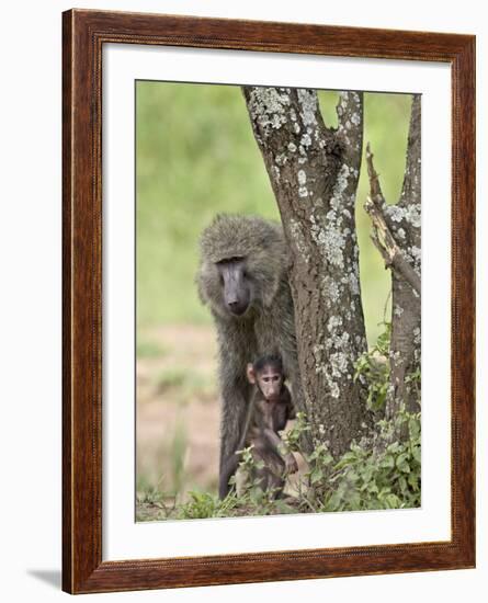 Olive Baboon Mother and Infant, Serengeti National Park, Tanzania-James Hager-Framed Photographic Print