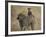 Olive Baboon (Papio Cynocephalus Anubis) Infant Riding-James Hager-Framed Photographic Print