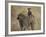 Olive Baboon (Papio Cynocephalus Anubis) Infant Riding-James Hager-Framed Photographic Print