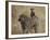 Olive Baboon (Papio Cynocephalus Anubis) Infant Riding-James Hager-Framed Photographic Print