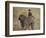 Olive Baboon (Papio Cynocephalus Anubis) Infant Riding-James Hager-Framed Photographic Print