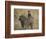 Olive Baboon (Papio Cynocephalus Anubis) Infant Riding-James Hager-Framed Photographic Print