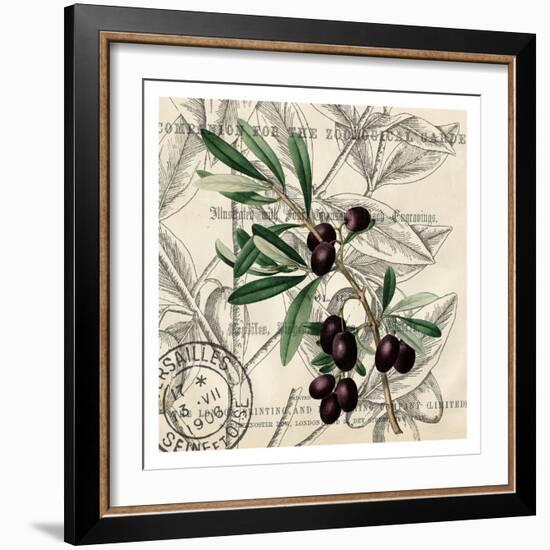 Olive Branch 2-Kimberly Allen-Framed Art Print