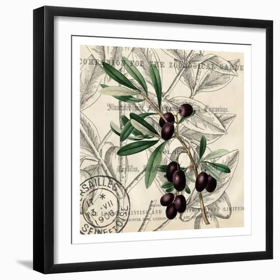 Olive Branch 2-Kimberly Allen-Framed Art Print
