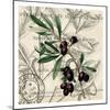 Olive Branch 2-Kimberly Allen-Mounted Art Print