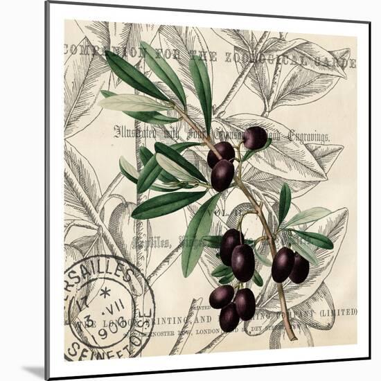 Olive Branch 2-Kimberly Allen-Mounted Art Print