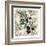 Olive Branch 2-Kimberly Allen-Framed Art Print