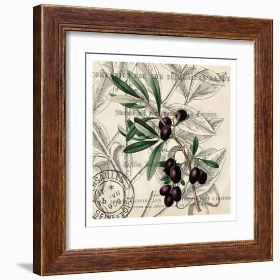 Olive Branch 2-Kimberly Allen-Framed Art Print