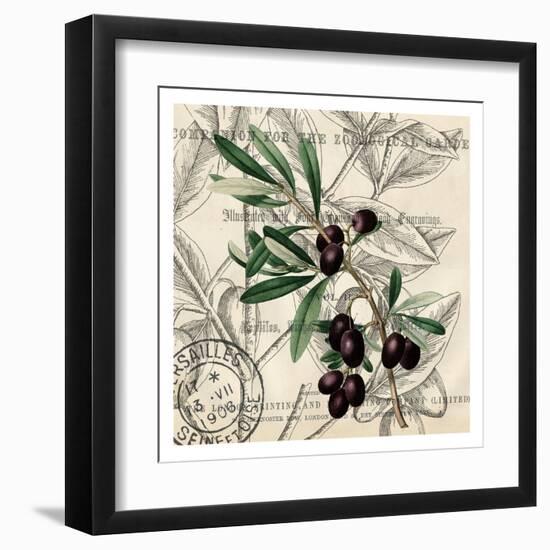 Olive Branch 2-Kimberly Allen-Framed Art Print