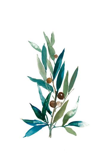 Olive Branch I Art Print Asia Jensen Art Com