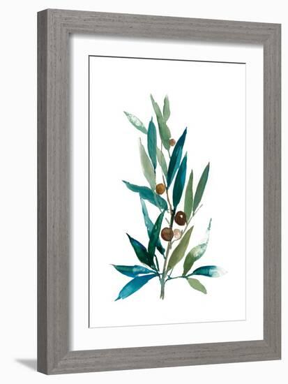 Olive Branch I-Asia Jensen-Framed Art Print