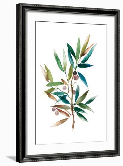 Olive Branch II-Asia Jensen-Framed Art Print