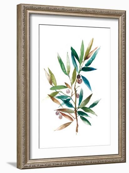 Olive Branch II-Asia Jensen-Framed Art Print