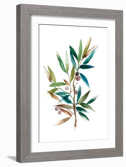 Olive Branch II-Asia Jensen-Framed Art Print