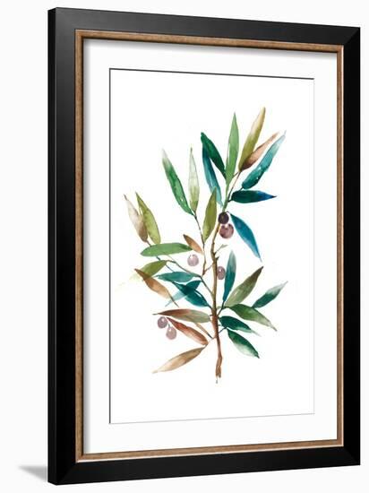 Olive Branch II-Asia Jensen-Framed Art Print