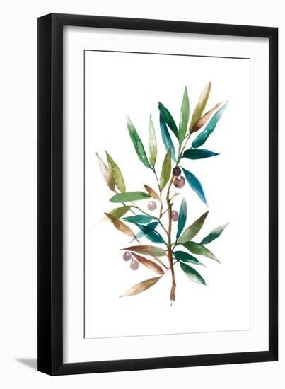 Olive Branch II-Asia Jensen-Framed Art Print