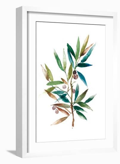 Olive Branch II-Asia Jensen-Framed Art Print