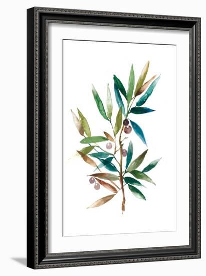 Olive Branch II-Asia Jensen-Framed Art Print