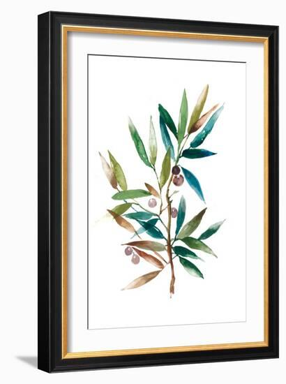 Olive Branch II-Asia Jensen-Framed Art Print