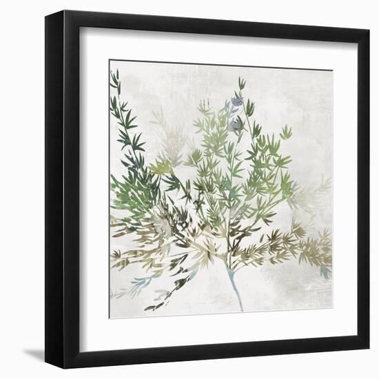 Olive Branch-Asia Jensen-Framed Art Print