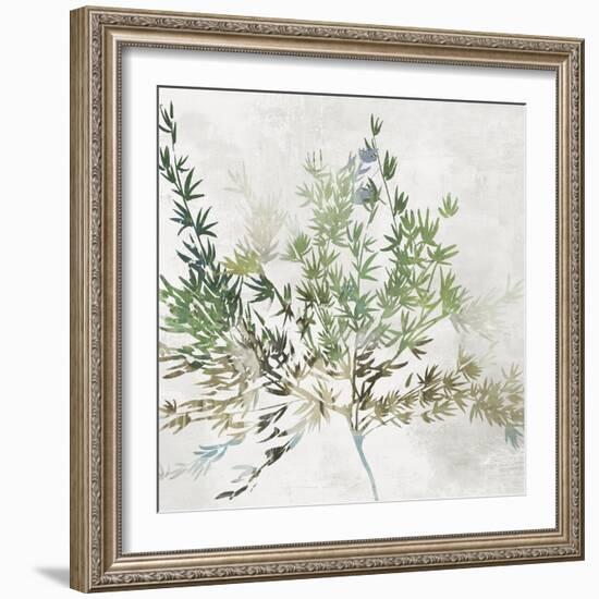 Olive Branch-Asia Jensen-Framed Art Print