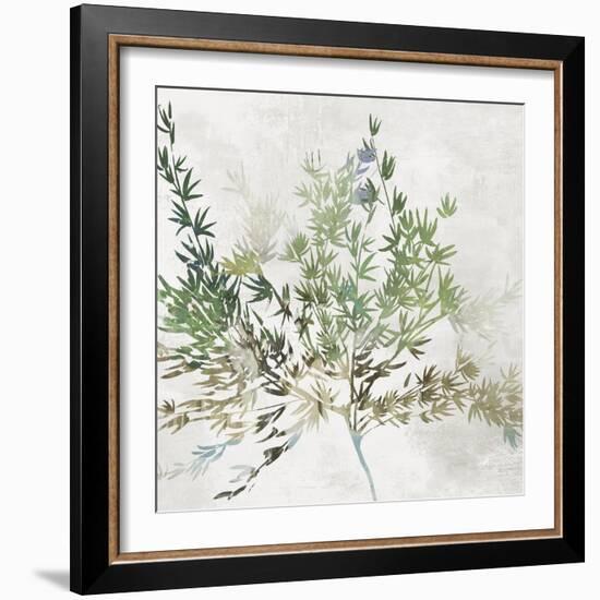 Olive Branch-Asia Jensen-Framed Art Print