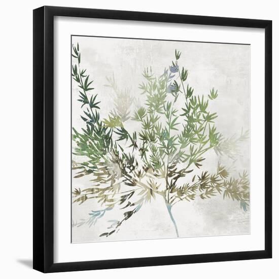 Olive Branch-Asia Jensen-Framed Art Print