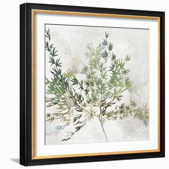 Olive Branch-Asia Jensen-Framed Art Print