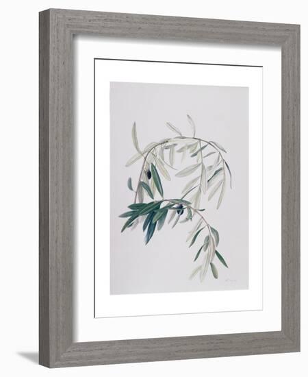 Olive Branches, 1998-Rebecca John-Framed Giclee Print