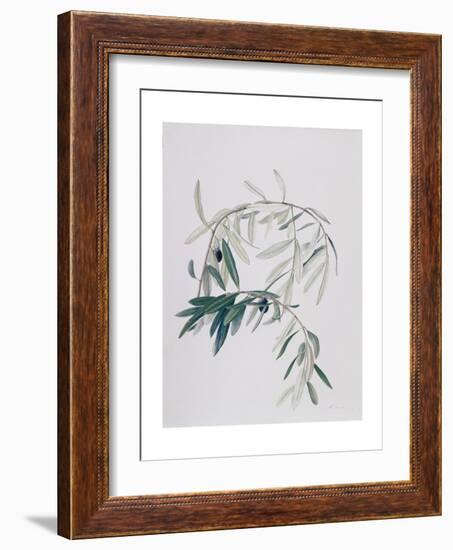 Olive Branches, 1998-Rebecca John-Framed Giclee Print