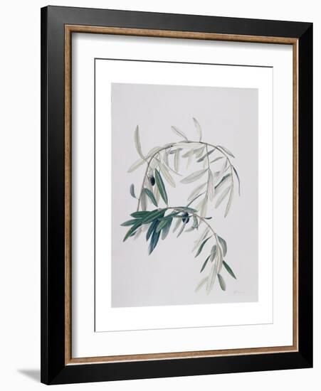 Olive Branches, 1998-Rebecca John-Framed Giclee Print