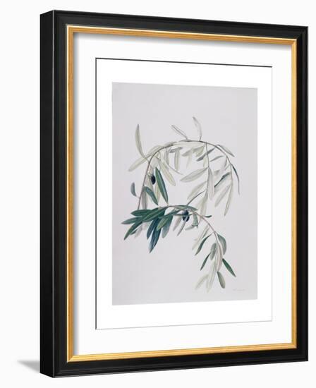 Olive Branches, 1998-Rebecca John-Framed Giclee Print