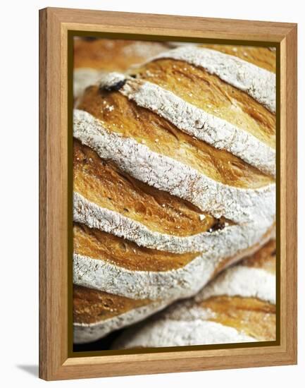 Olive Bread-Herbert Lehmann-Framed Premier Image Canvas