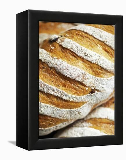 Olive Bread-Herbert Lehmann-Framed Premier Image Canvas