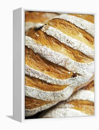 Olive Bread-Herbert Lehmann-Framed Premier Image Canvas