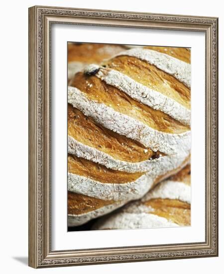 Olive Bread-Herbert Lehmann-Framed Photographic Print