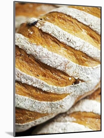 Olive Bread-Herbert Lehmann-Mounted Photographic Print