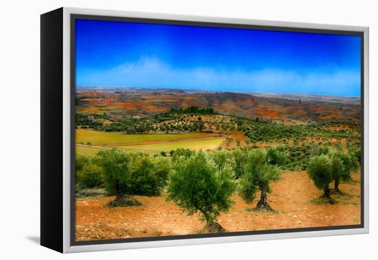 Olive Filed-Viviane Fedieu Daniel-Framed Premier Image Canvas