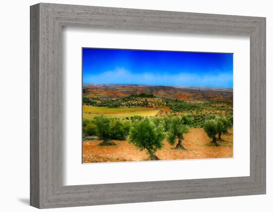 Olive Filed-Viviane Fedieu Daniel-Framed Photographic Print